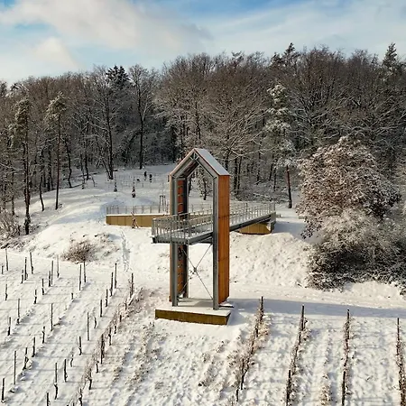 Panoramablick - Grosszuegige Mit Panorama- & Burgblick Appartement